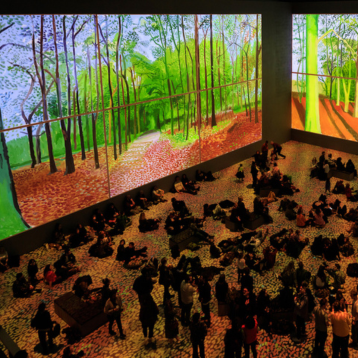 Light exhibition in London