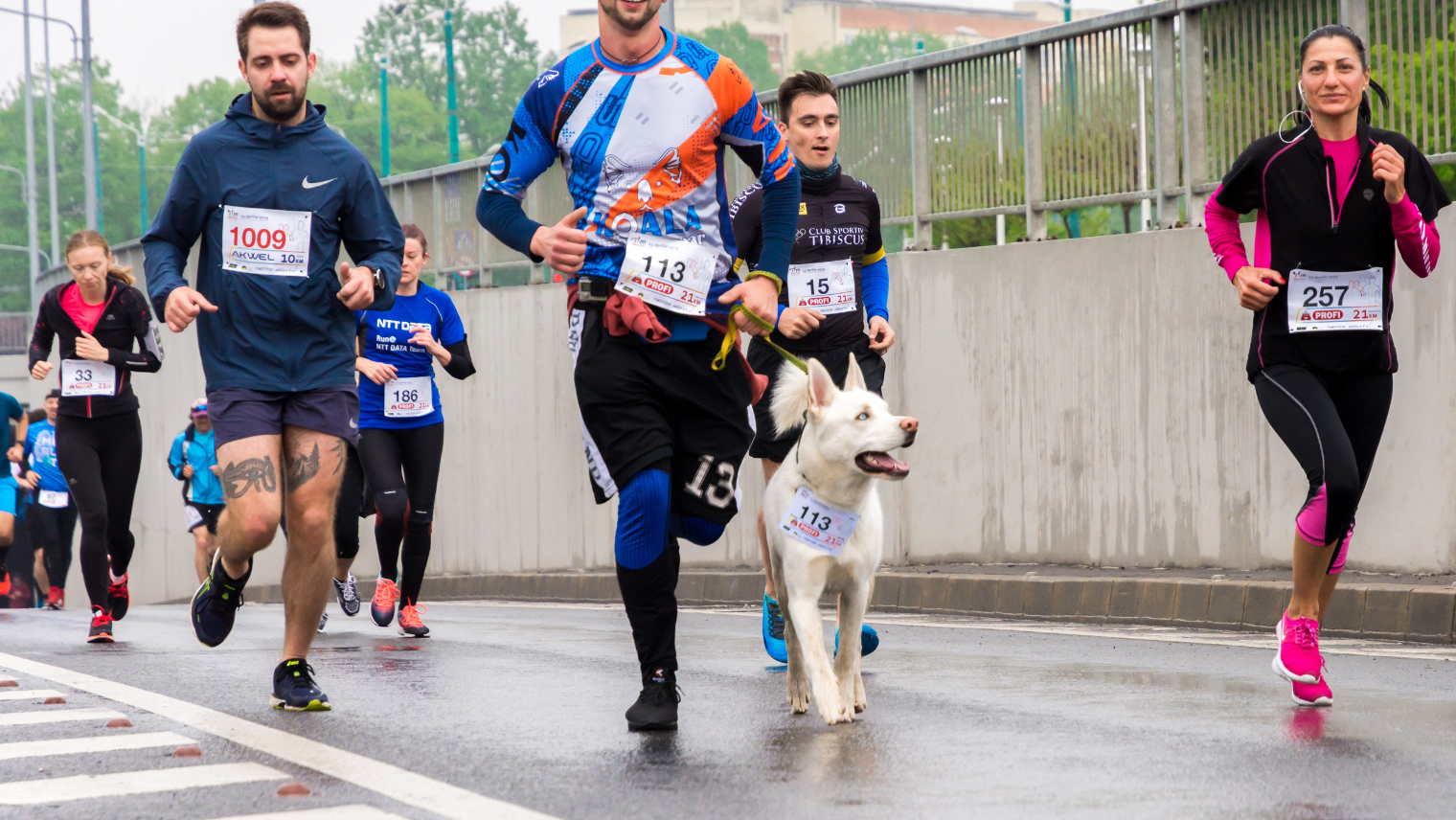 Runners running a race