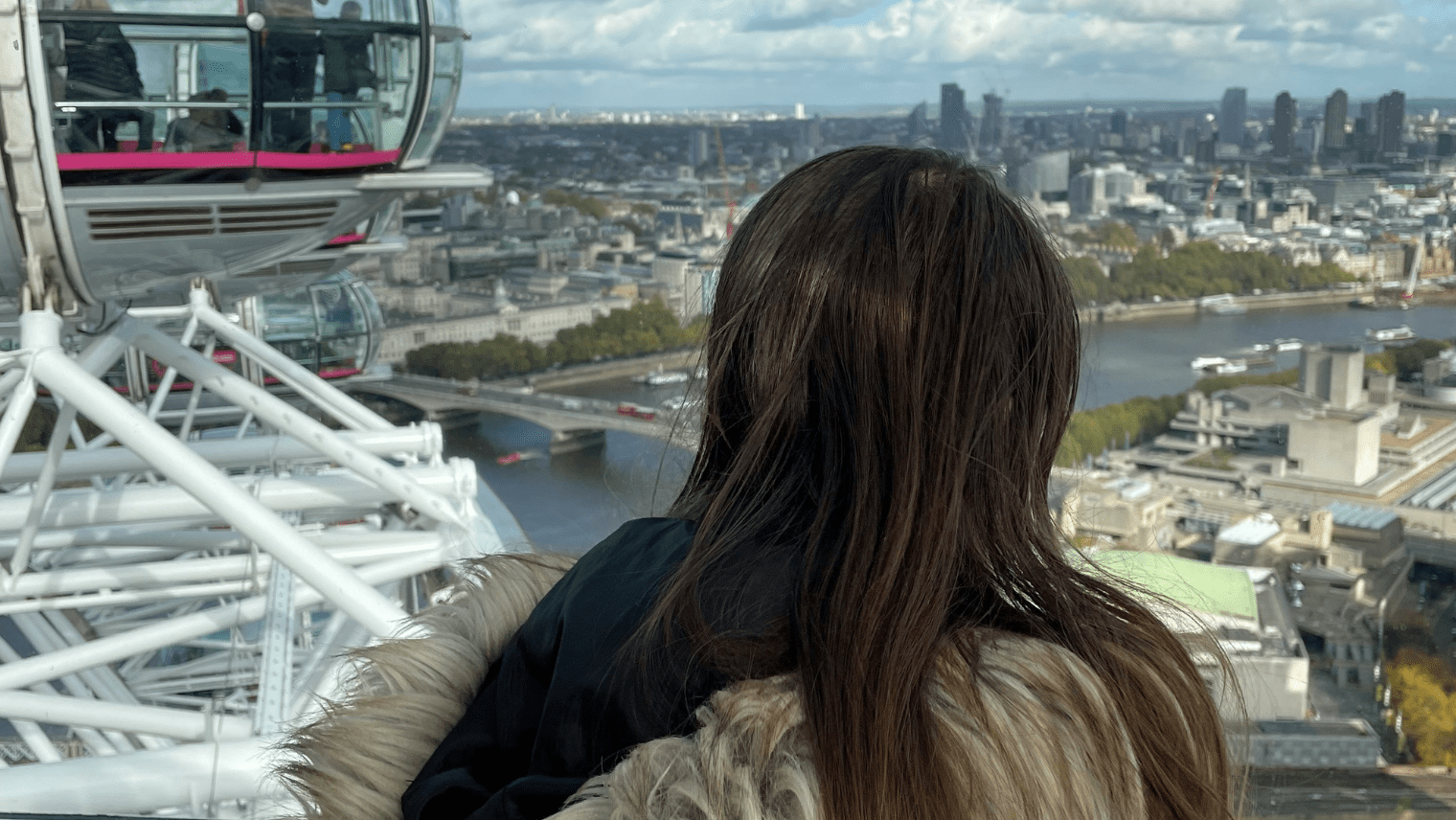 View from the top of the London Eye