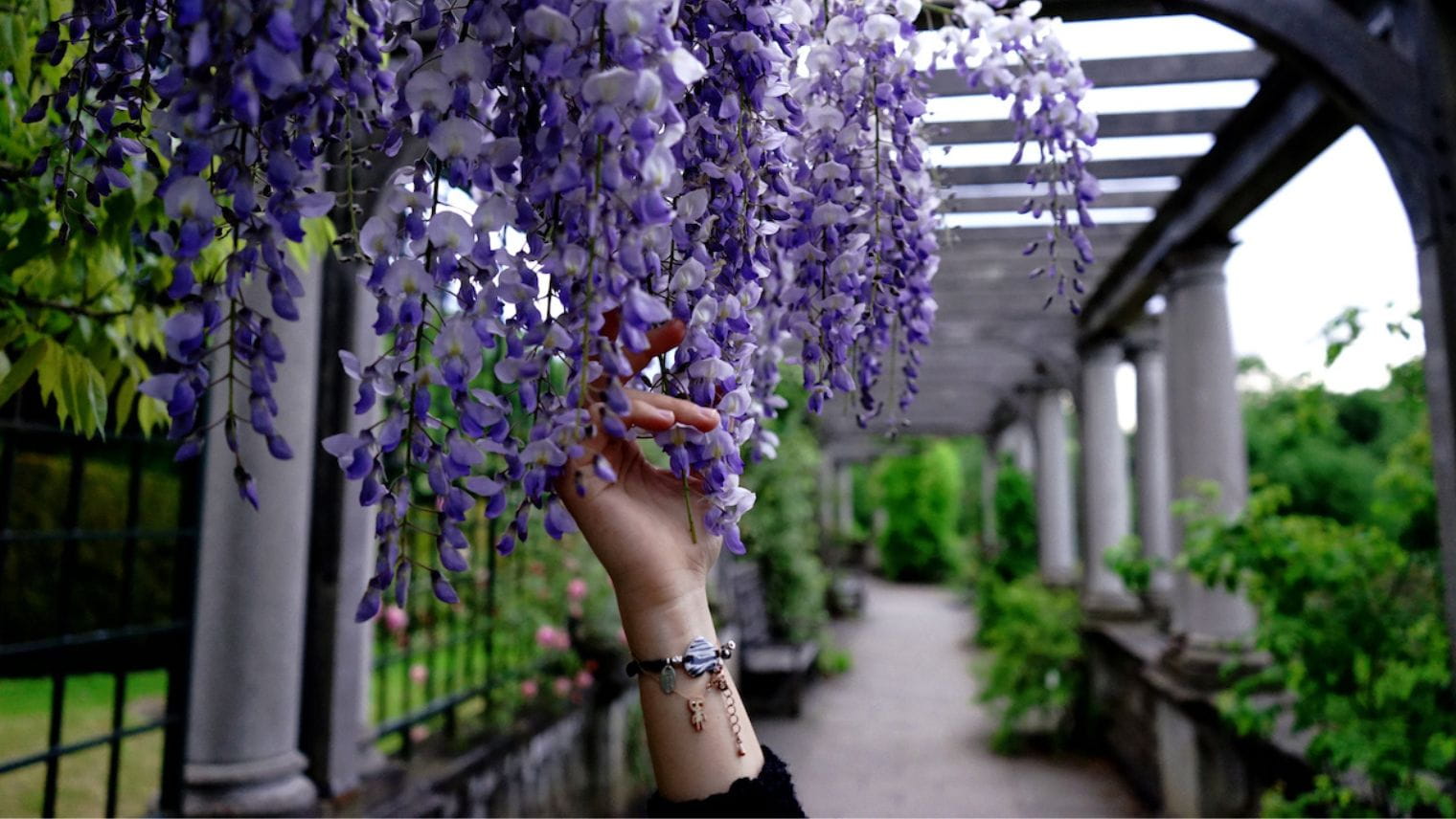 Hampstead Hill Garden and Pergola