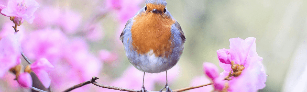 What’s on in March in London and the South West