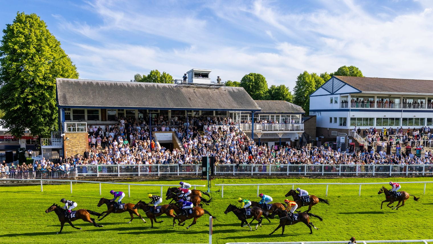 Royal windsor racecourse