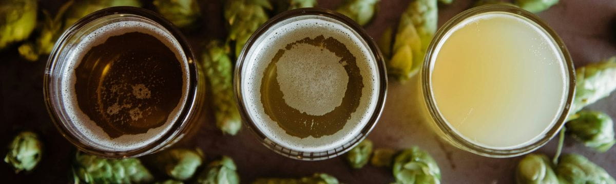 3 pints of beer with hops - the Best Breweries and Microbreweries in the South West 