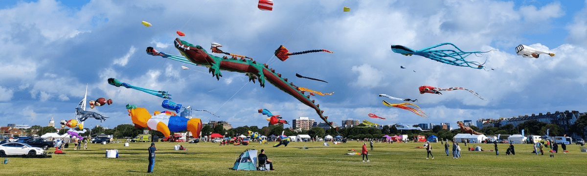 Brightly coloured kites of various shapes, including a long dragon and an octopus, fly over an open park as people watch and relax below.