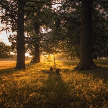 FInd amazing hidden things to do in Richmond with SWR