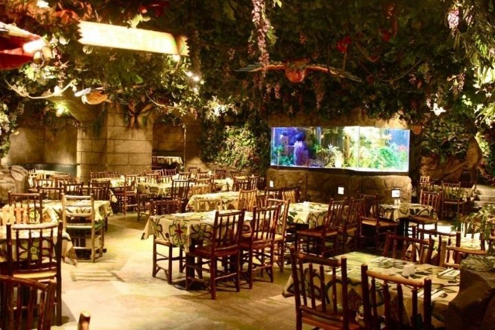 Rainforest Cafe