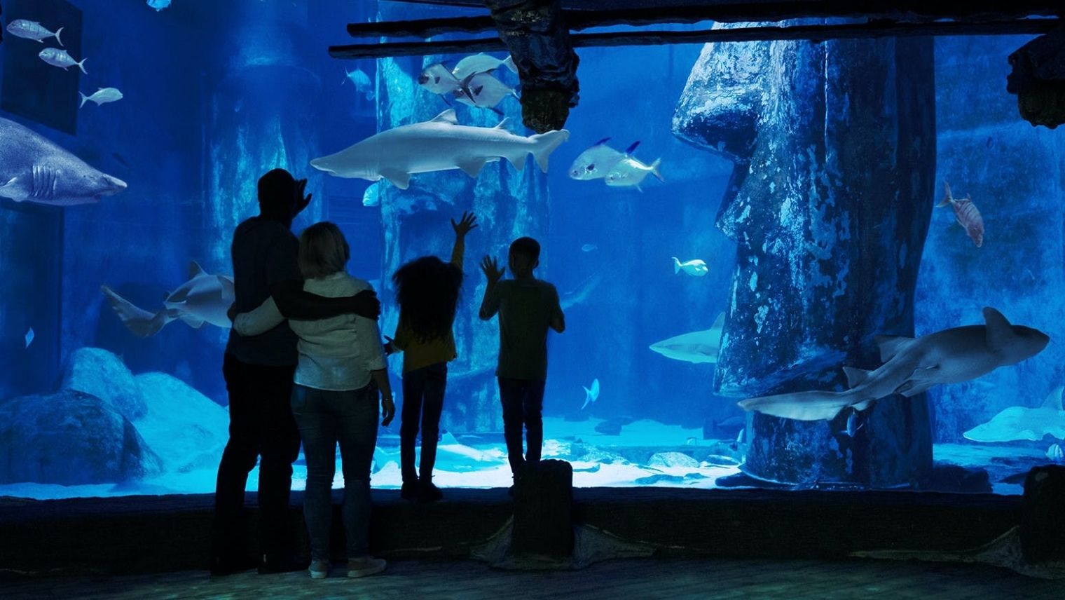 Family at SEALIFE London