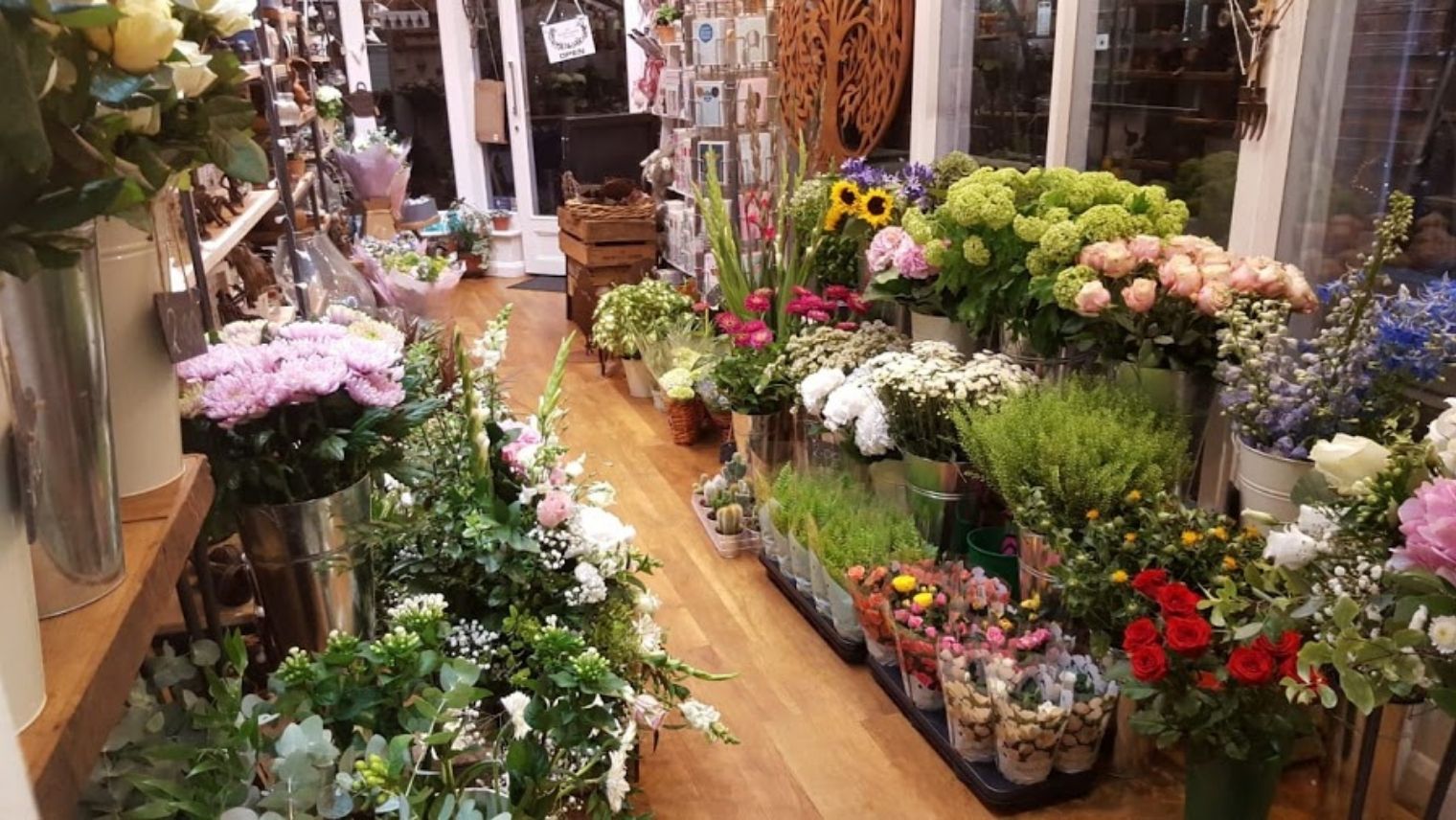 Interior of The Secret Garden, Guildford