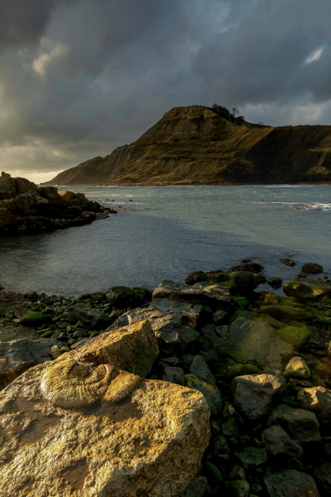 The Jurassic Coast