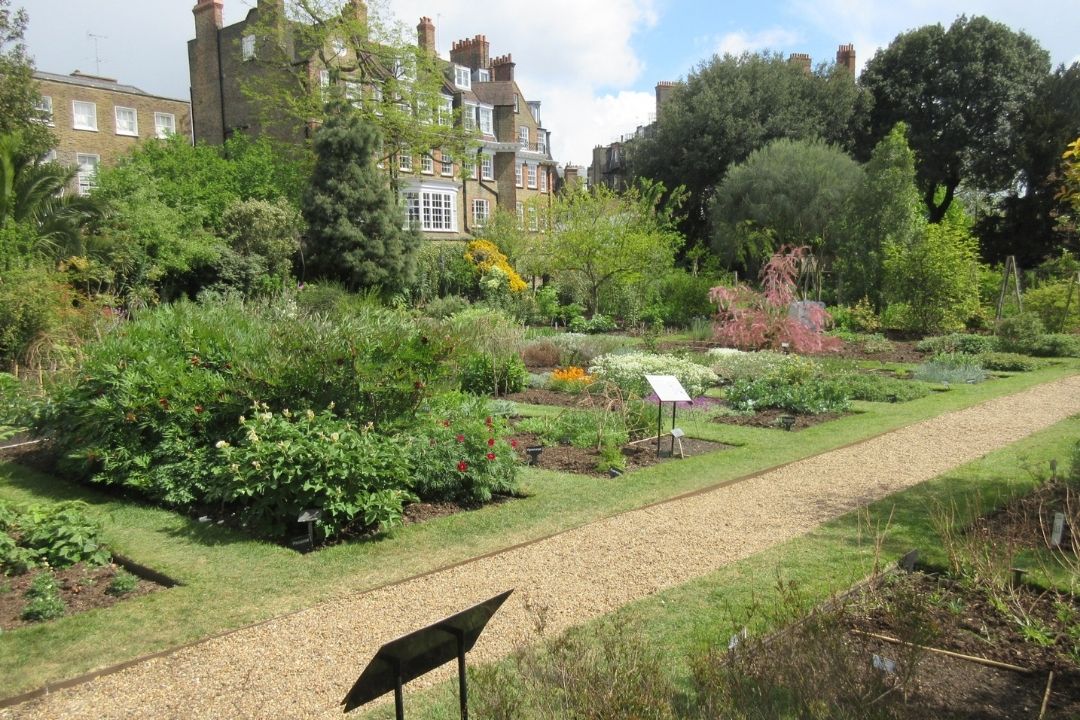 Chelsea Physic Garden