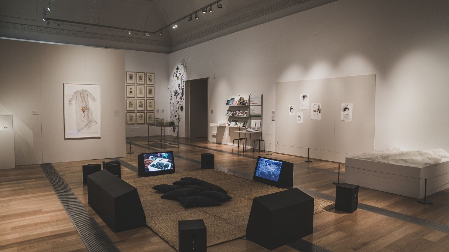 Sea Forest exhibition at the Royal Albert Memorial Museum and Art Gallery