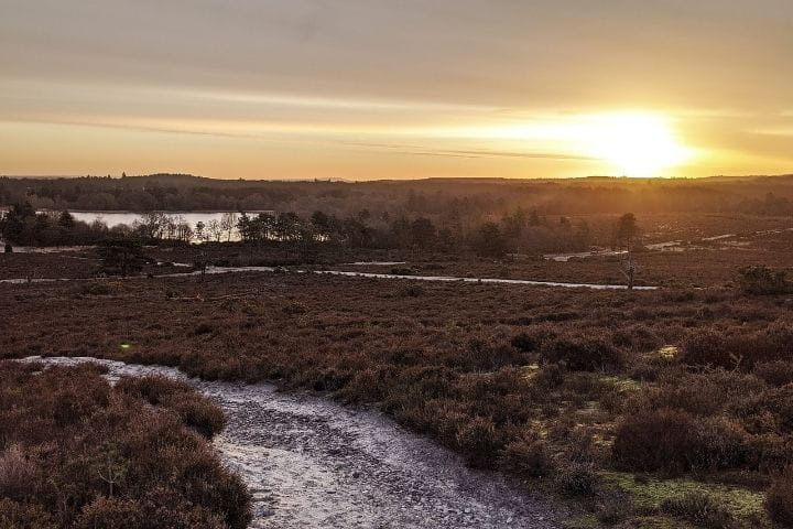 Frensham Common