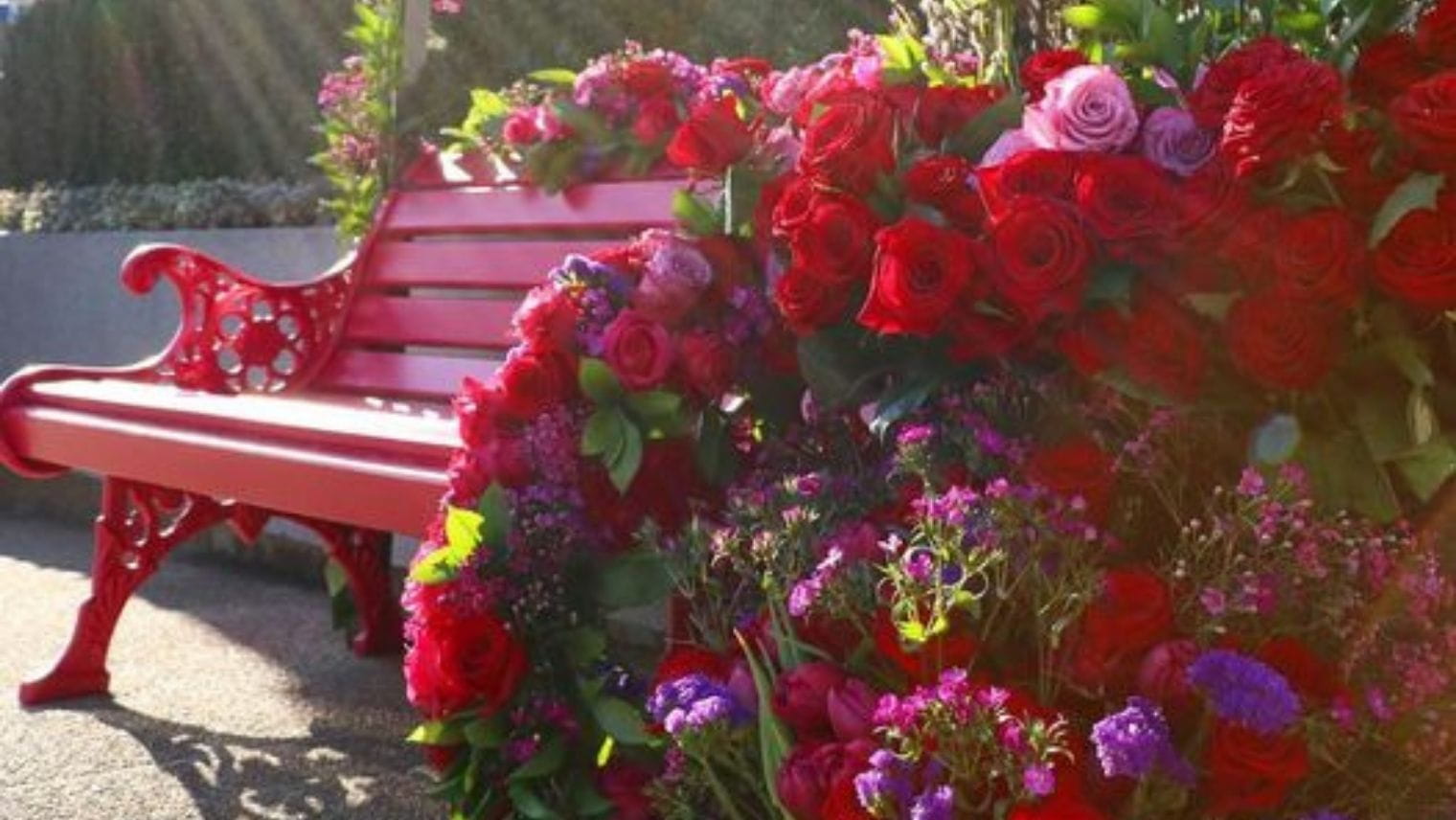 The Pink Bench at Ascot Racecourse