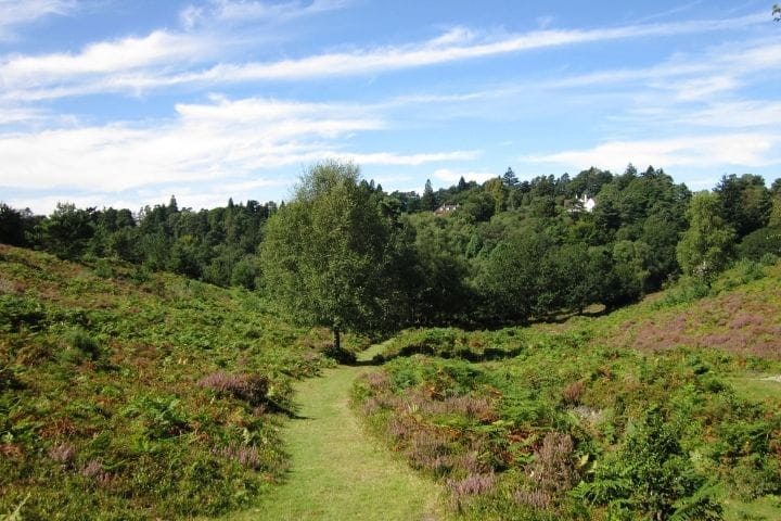 Hindhead Common | Image Credit: Leimenide/Flickr