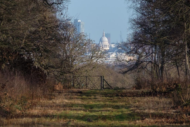 View from King Henry's Mound