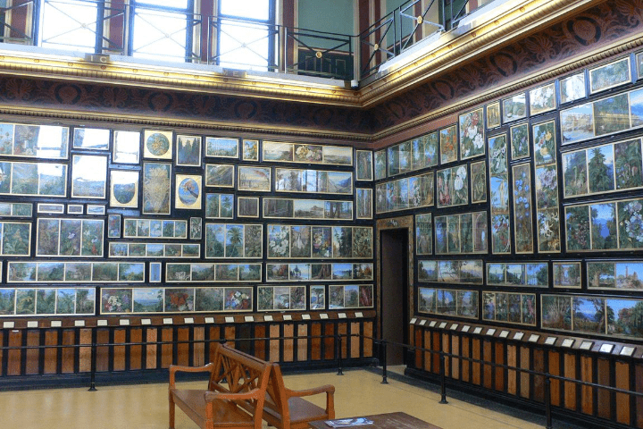 Marianne North Gallery