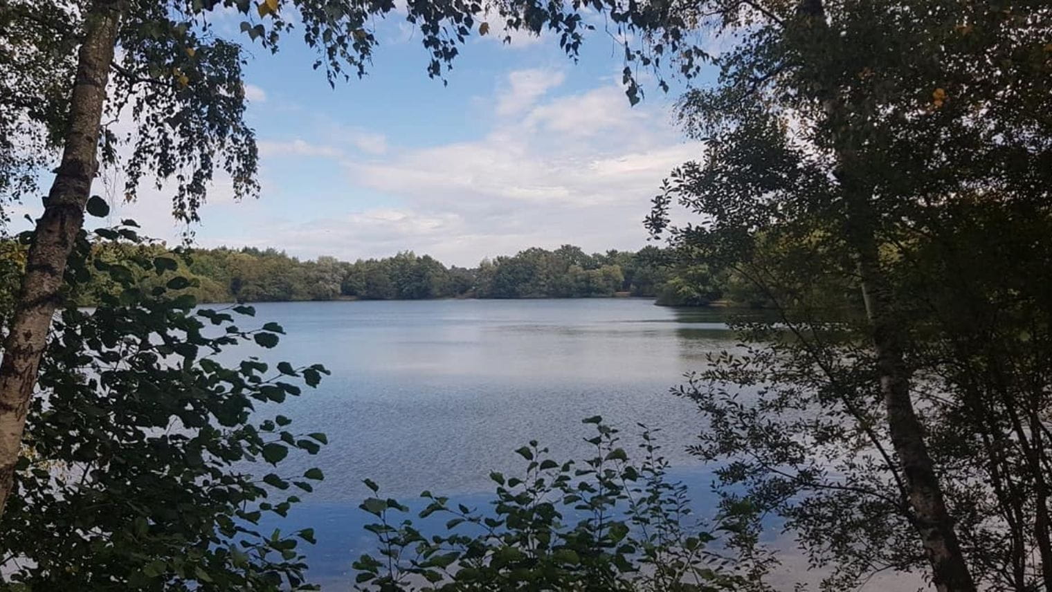 Wellington Park lake view