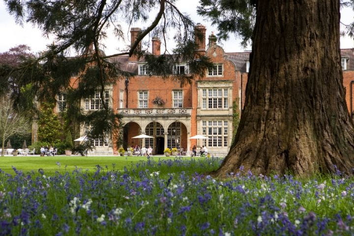 Tylney Hall and Bluebells