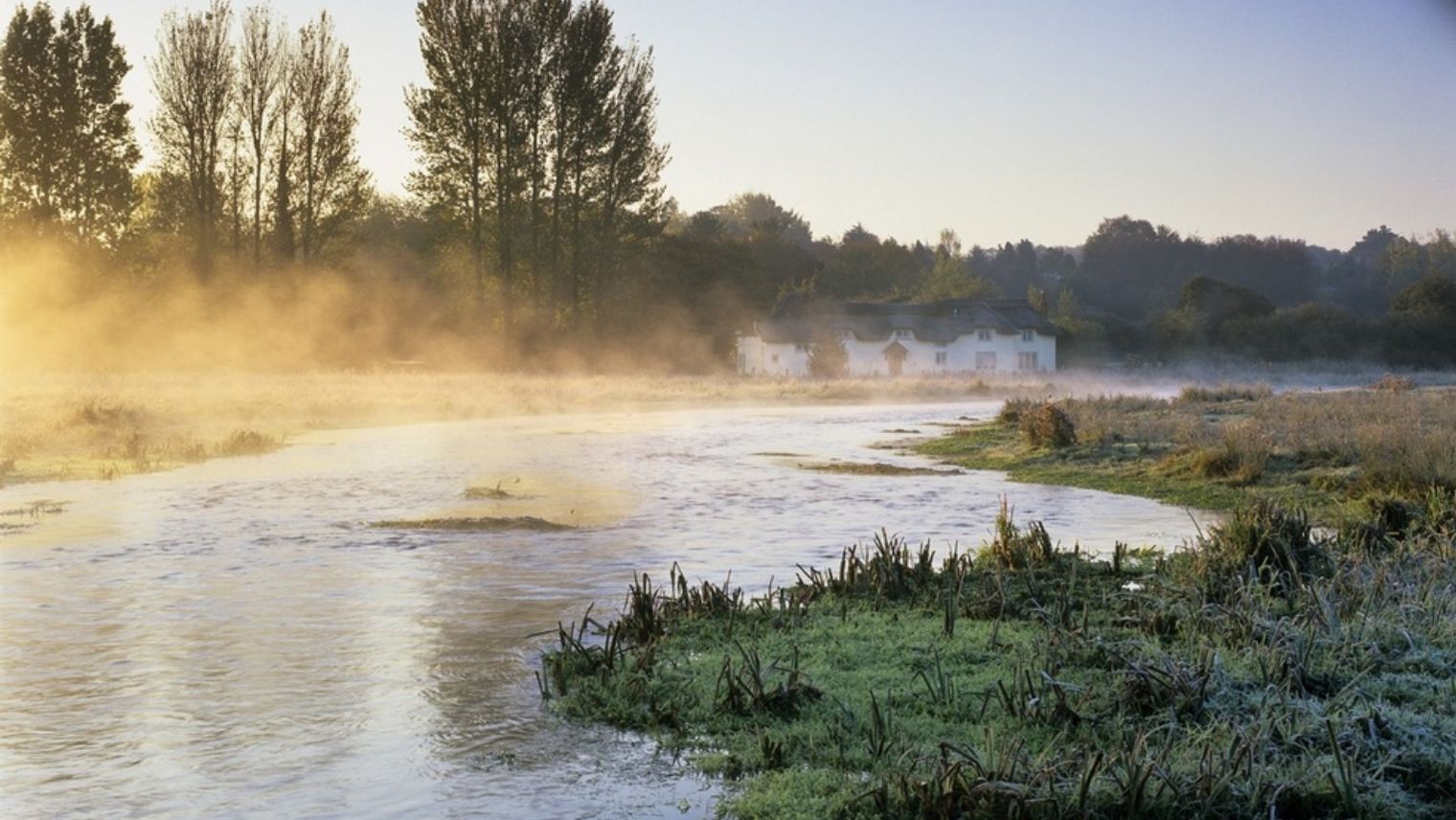 Commonland near Wherwell
